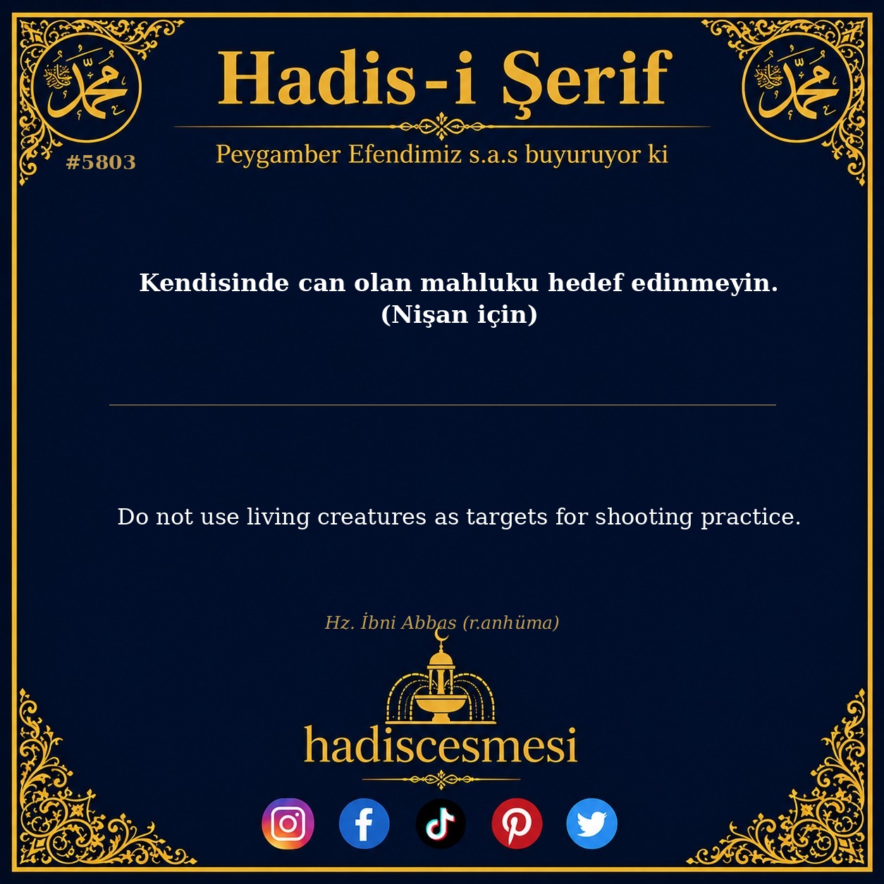 hadis 5803