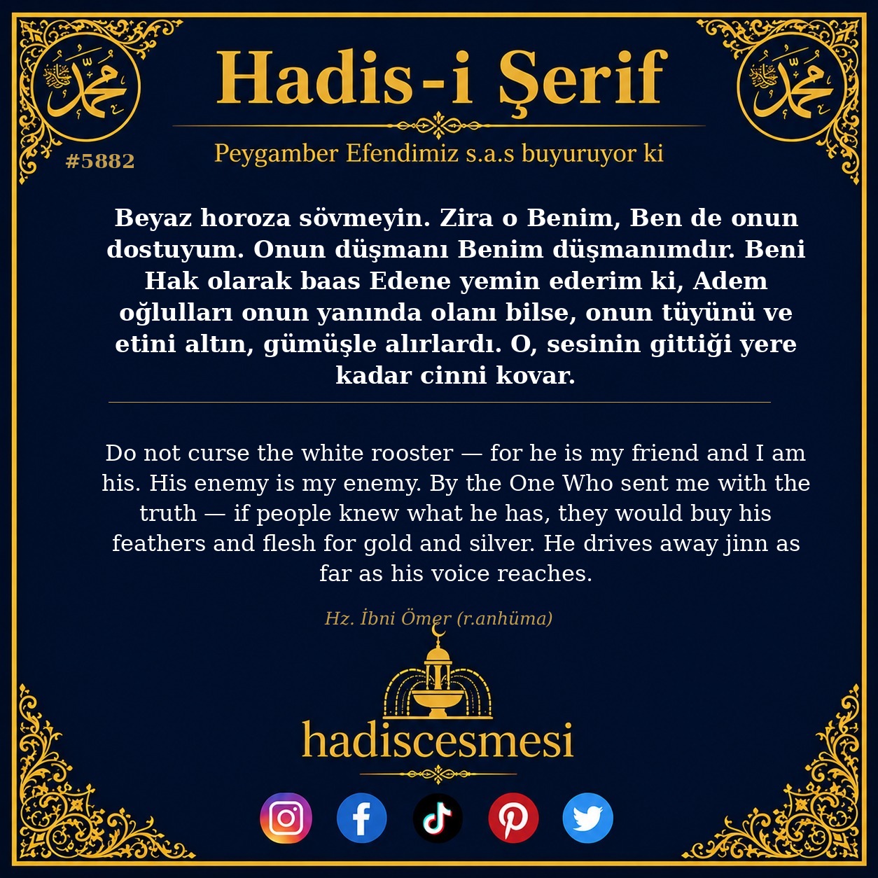 hadis 5882