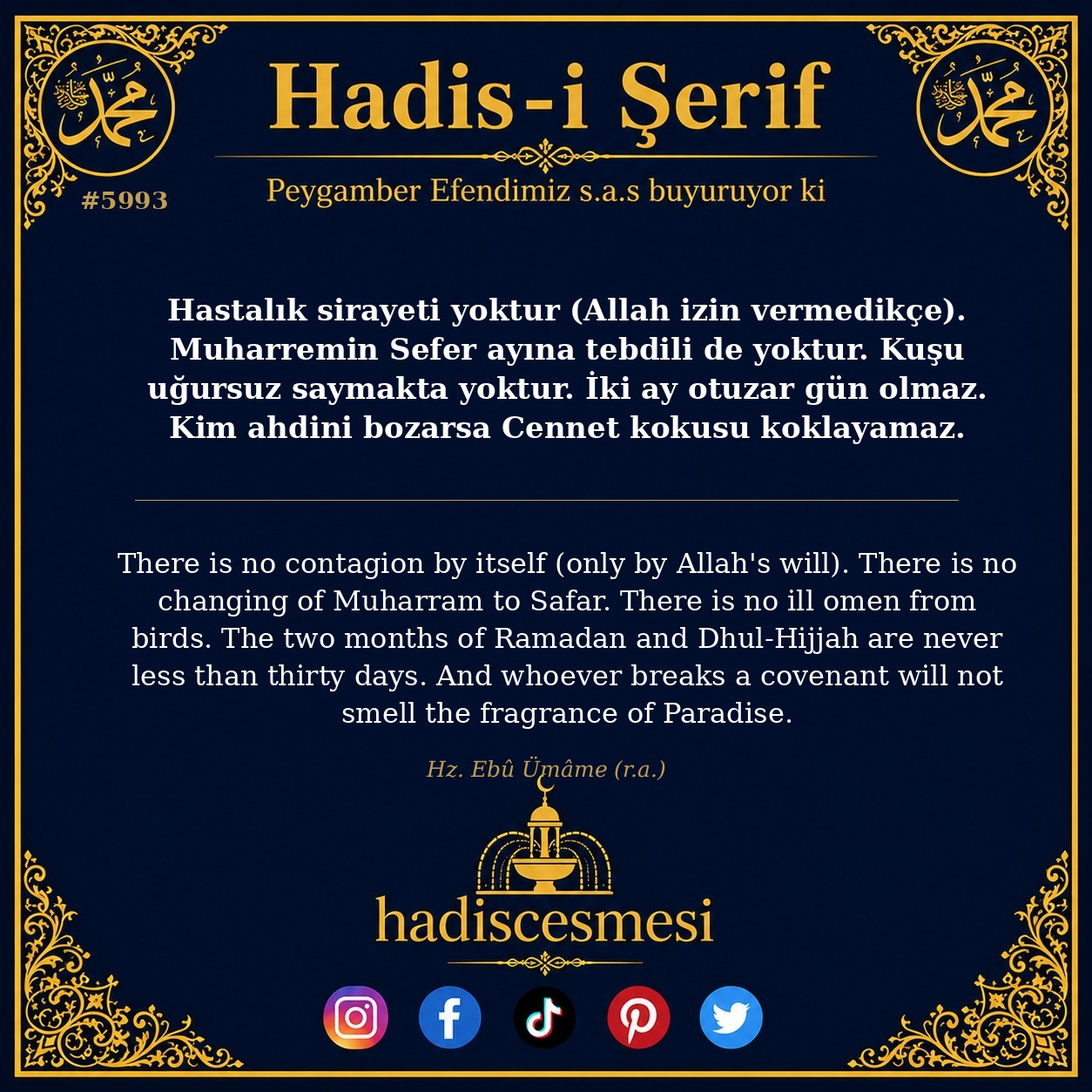hadis 5993