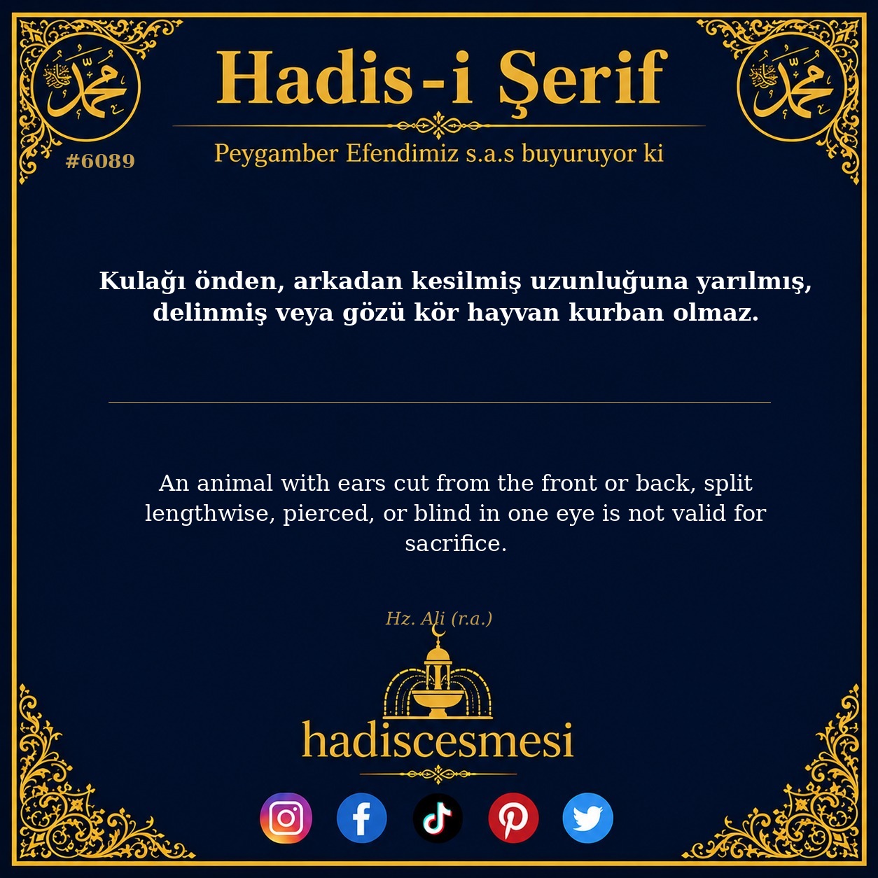 hadis 6089