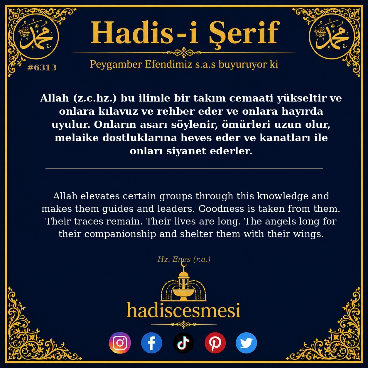 hadis 6313