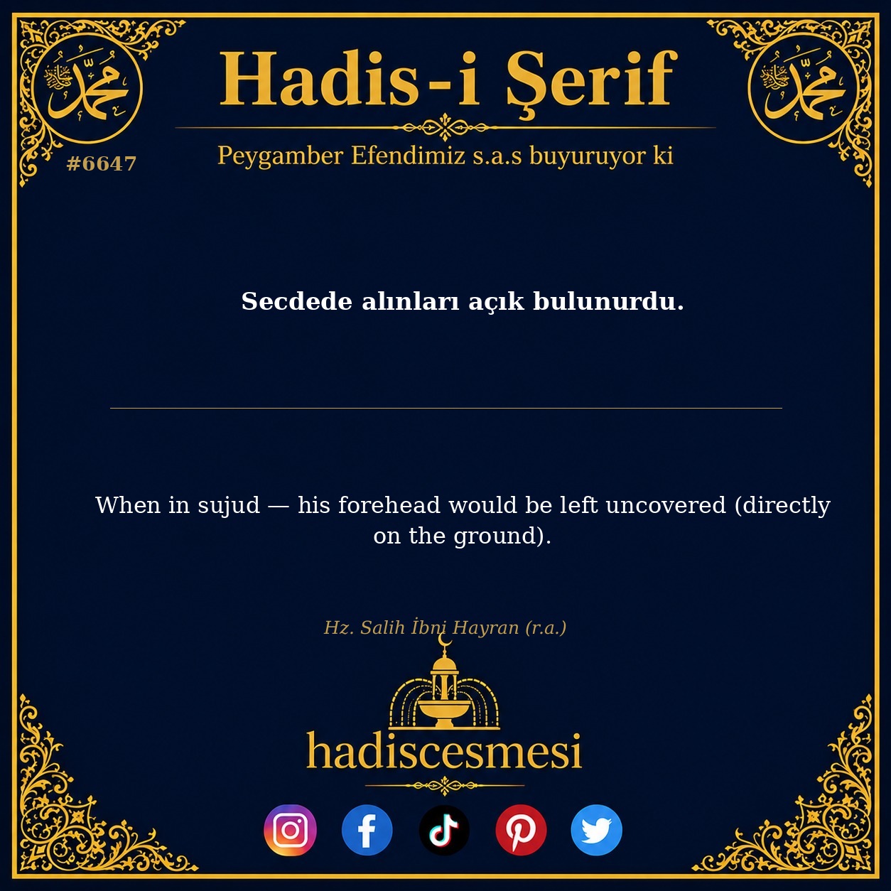 hadis 6647
