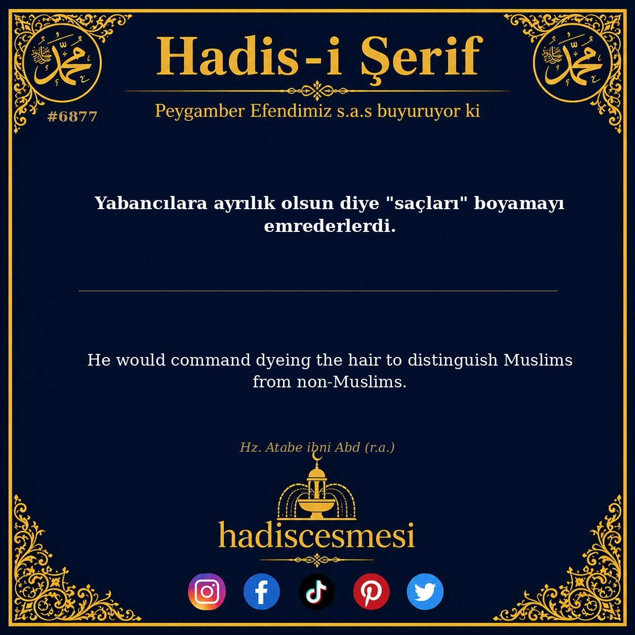 hadis 6877