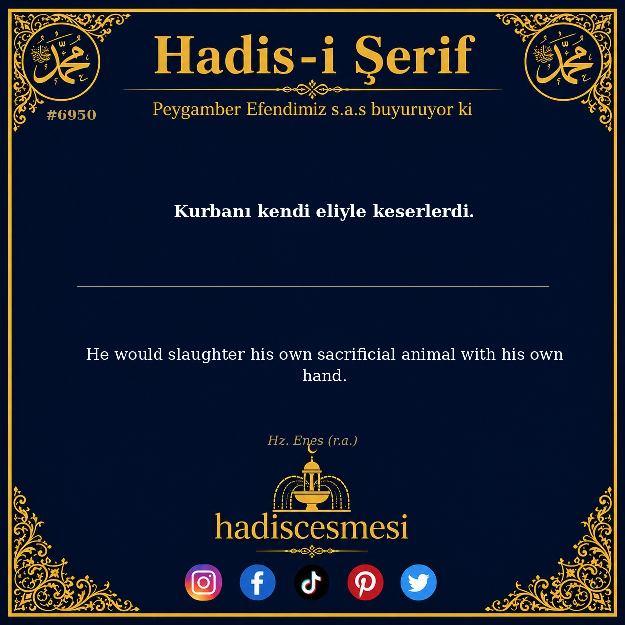 hadis 6950