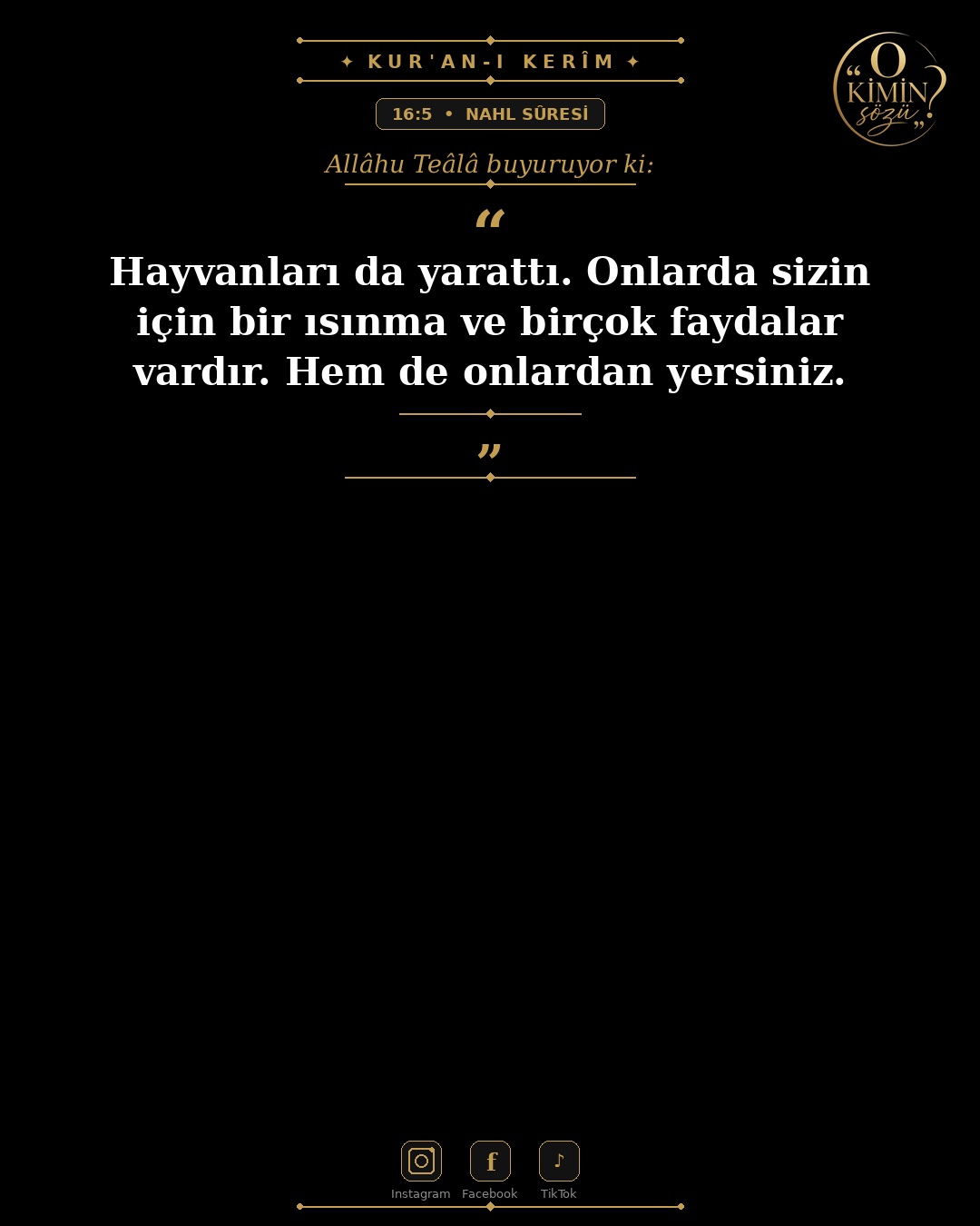 ayet 016 005