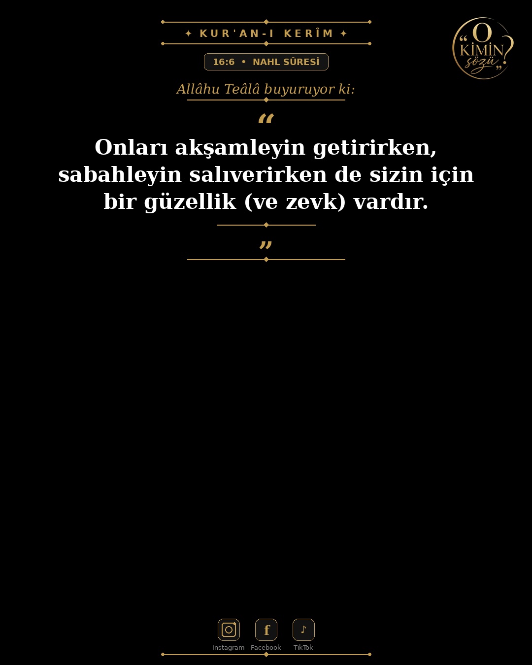ayet 016 006