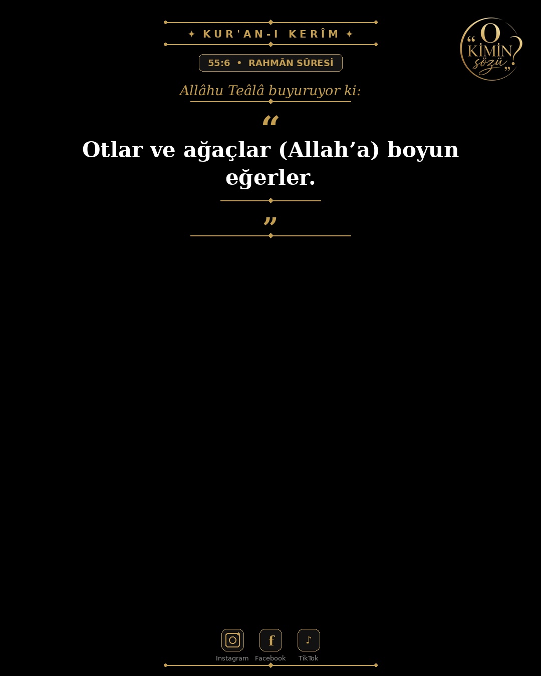 ayet 055 006