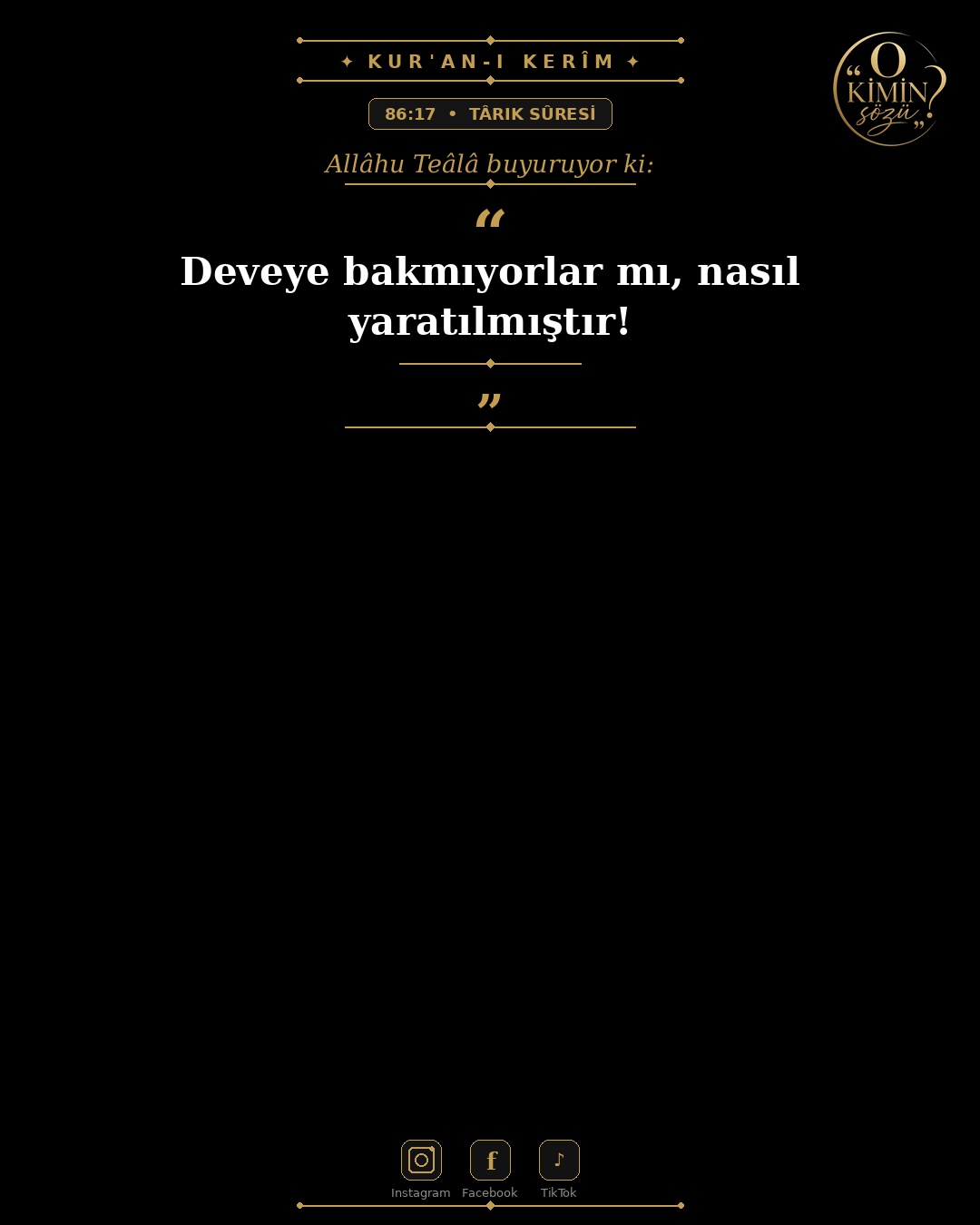 ayet 086 017