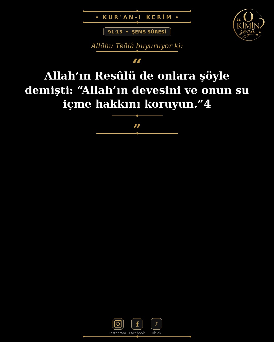 ayet 091 013