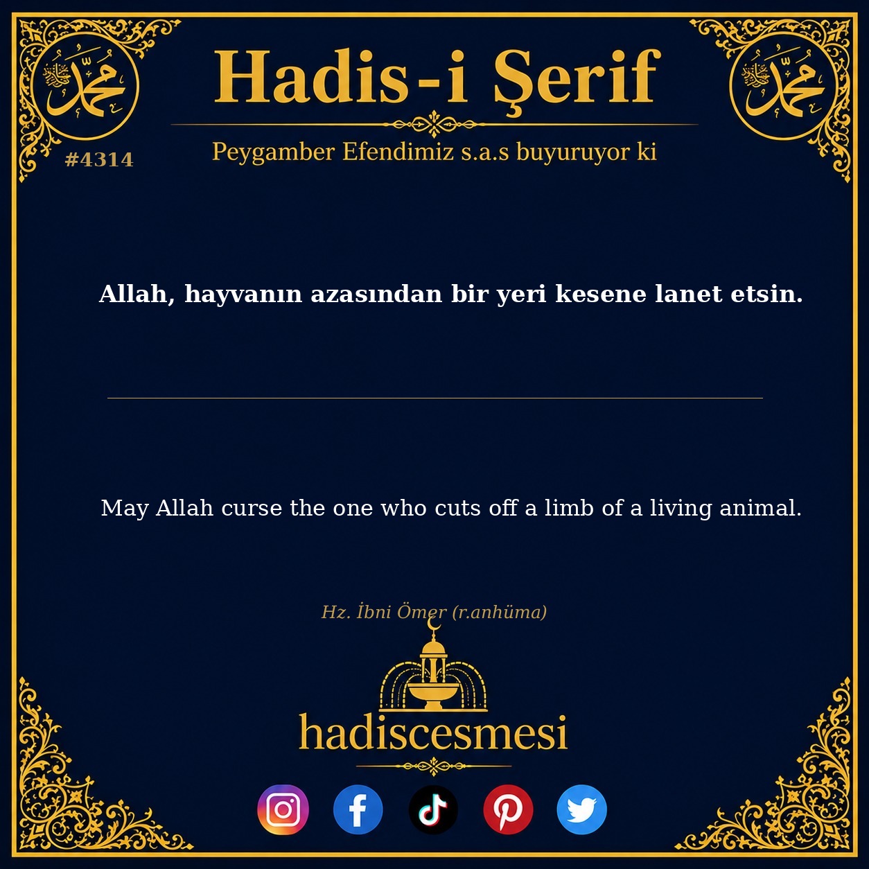 Hadis 4314
