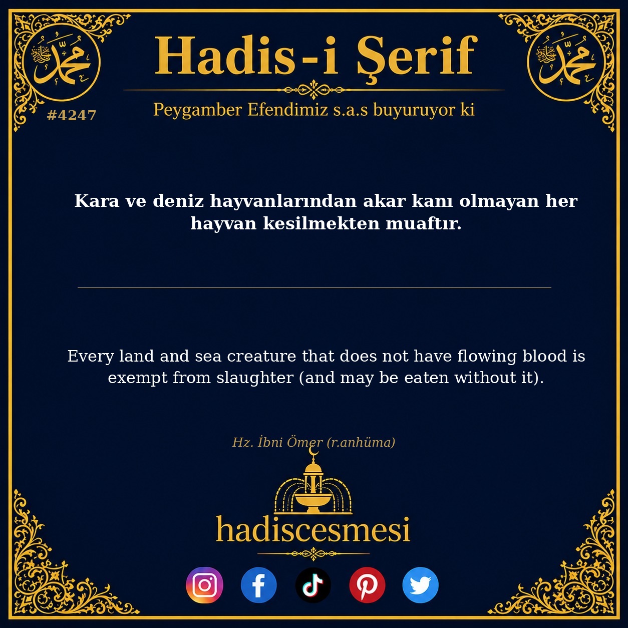 Hadis 4247