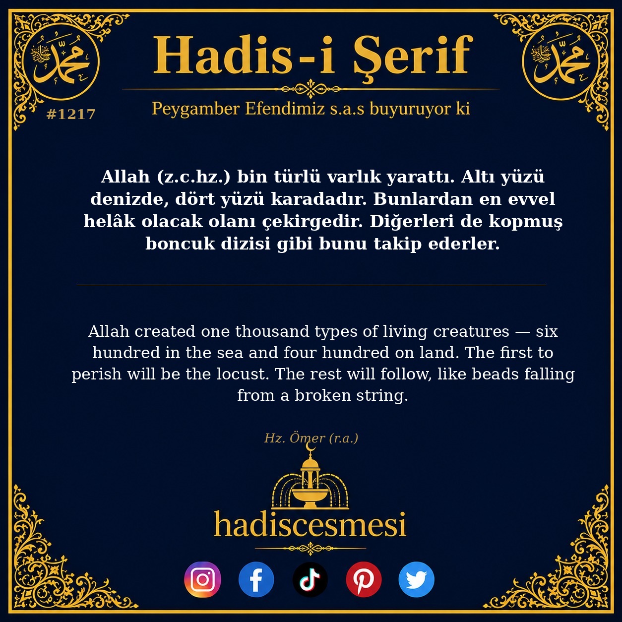 Hadis 1217