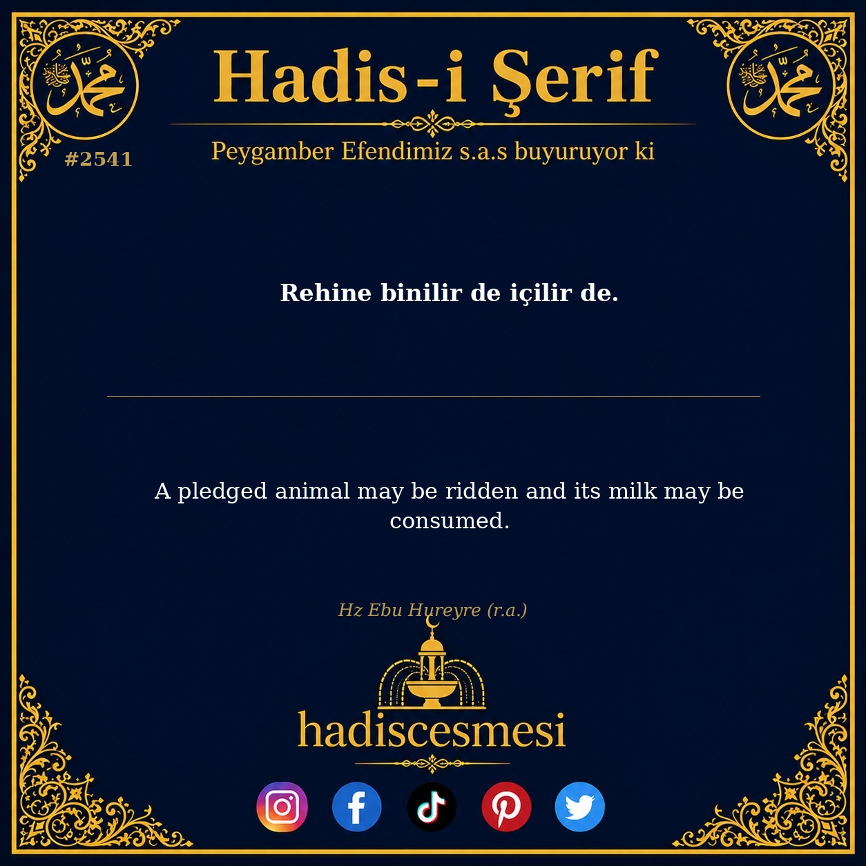Hadis 2541