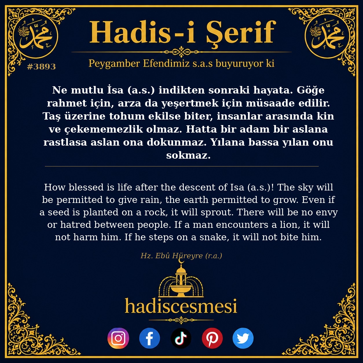 Hadis 3893