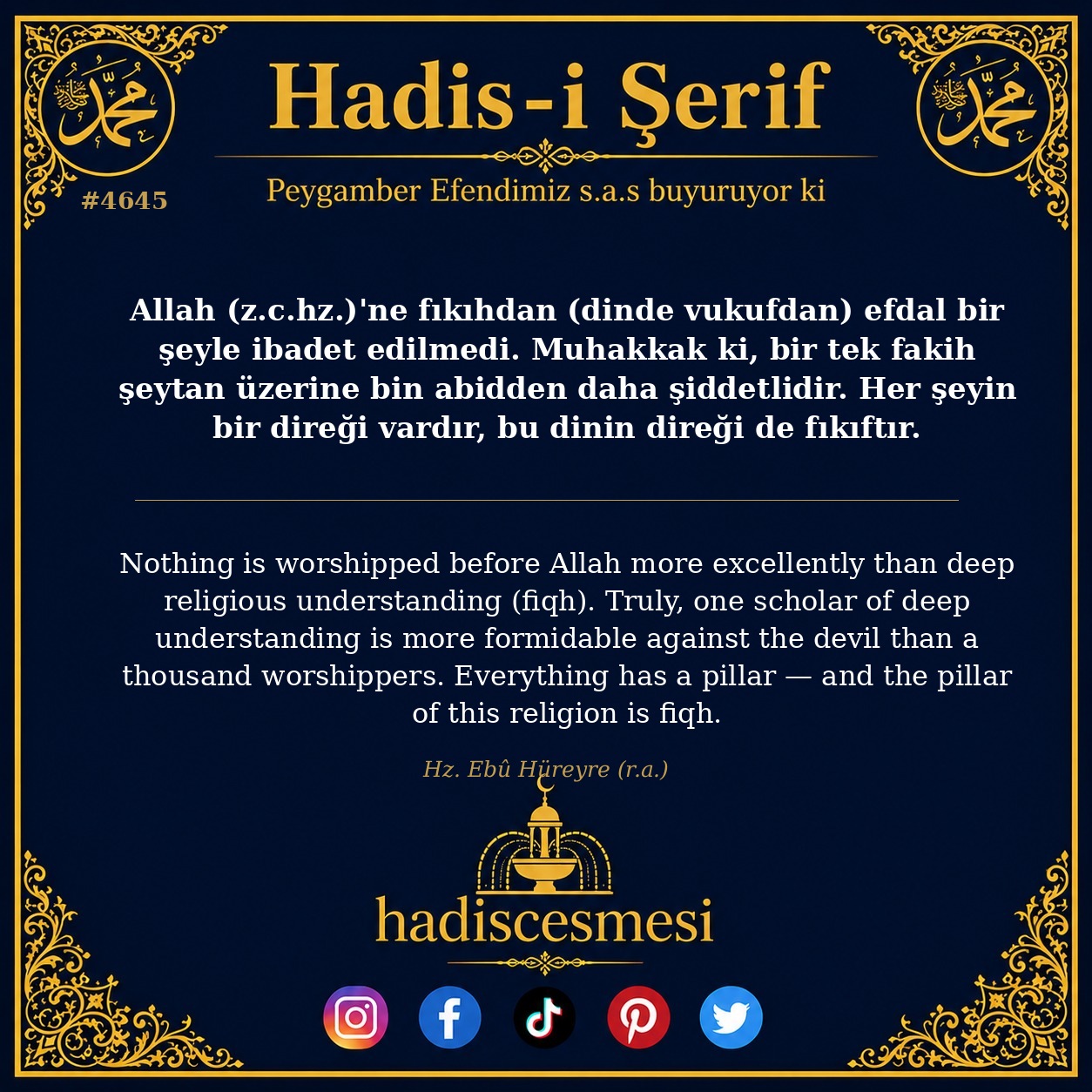 Hadis 4645