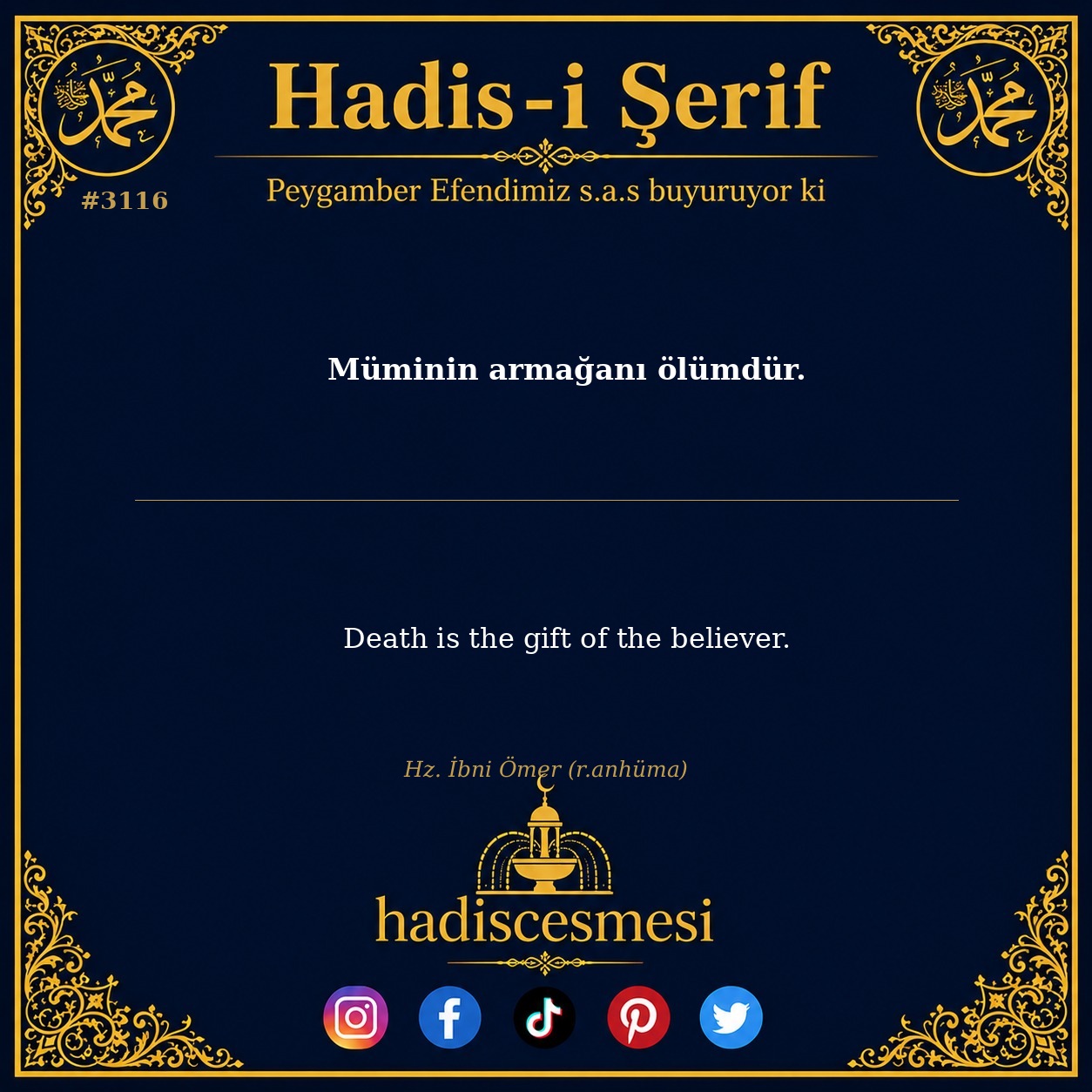 Hadis 3116