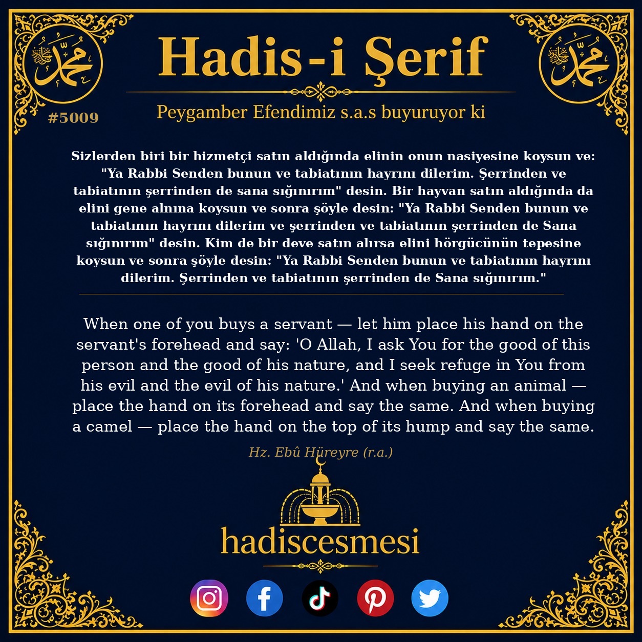 Hadis 5009