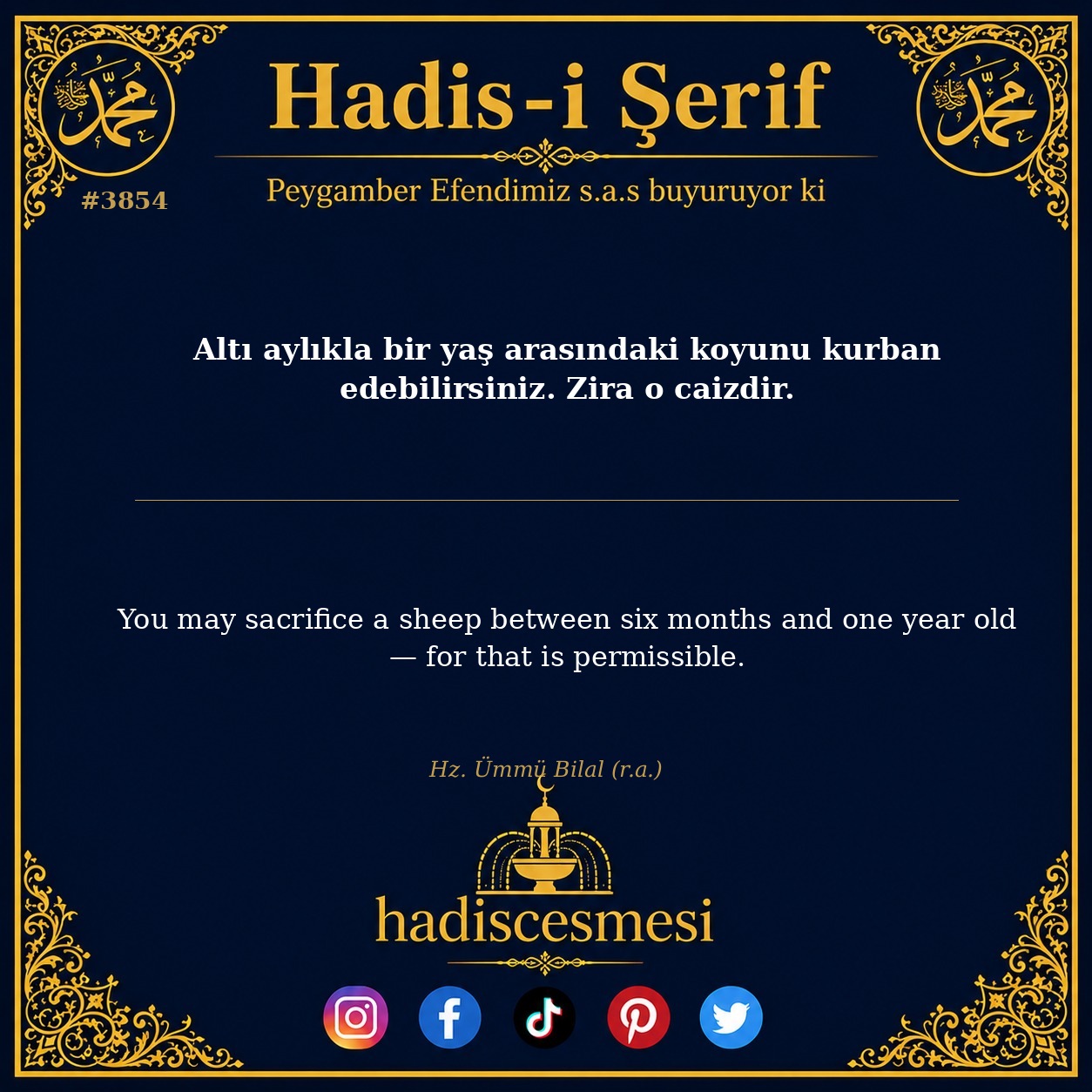 Hadis 3854