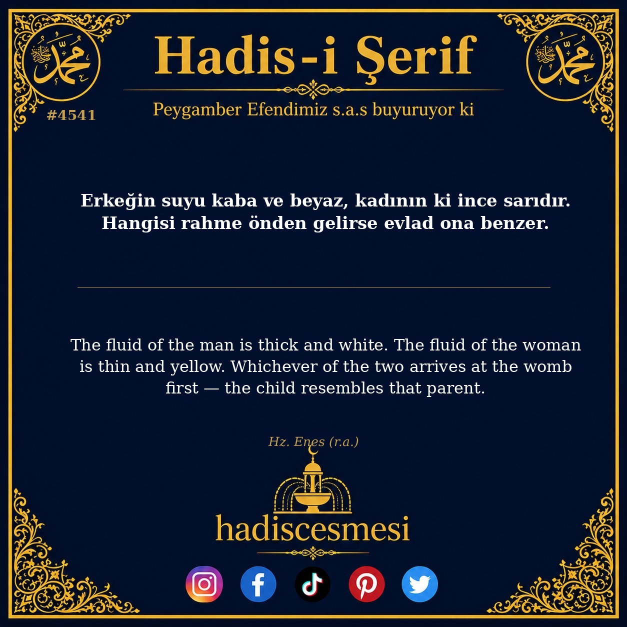 Hadis 4541