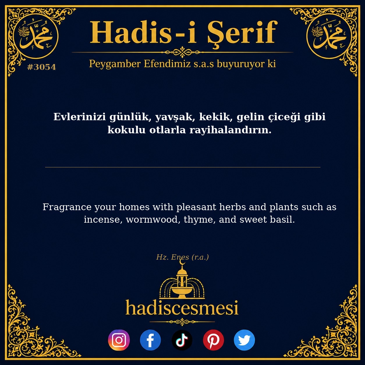 Hadis 3054