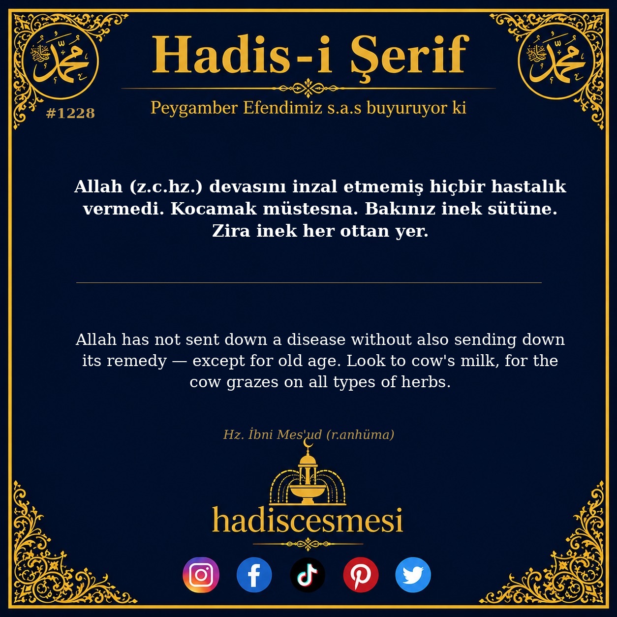 Hadis 1228