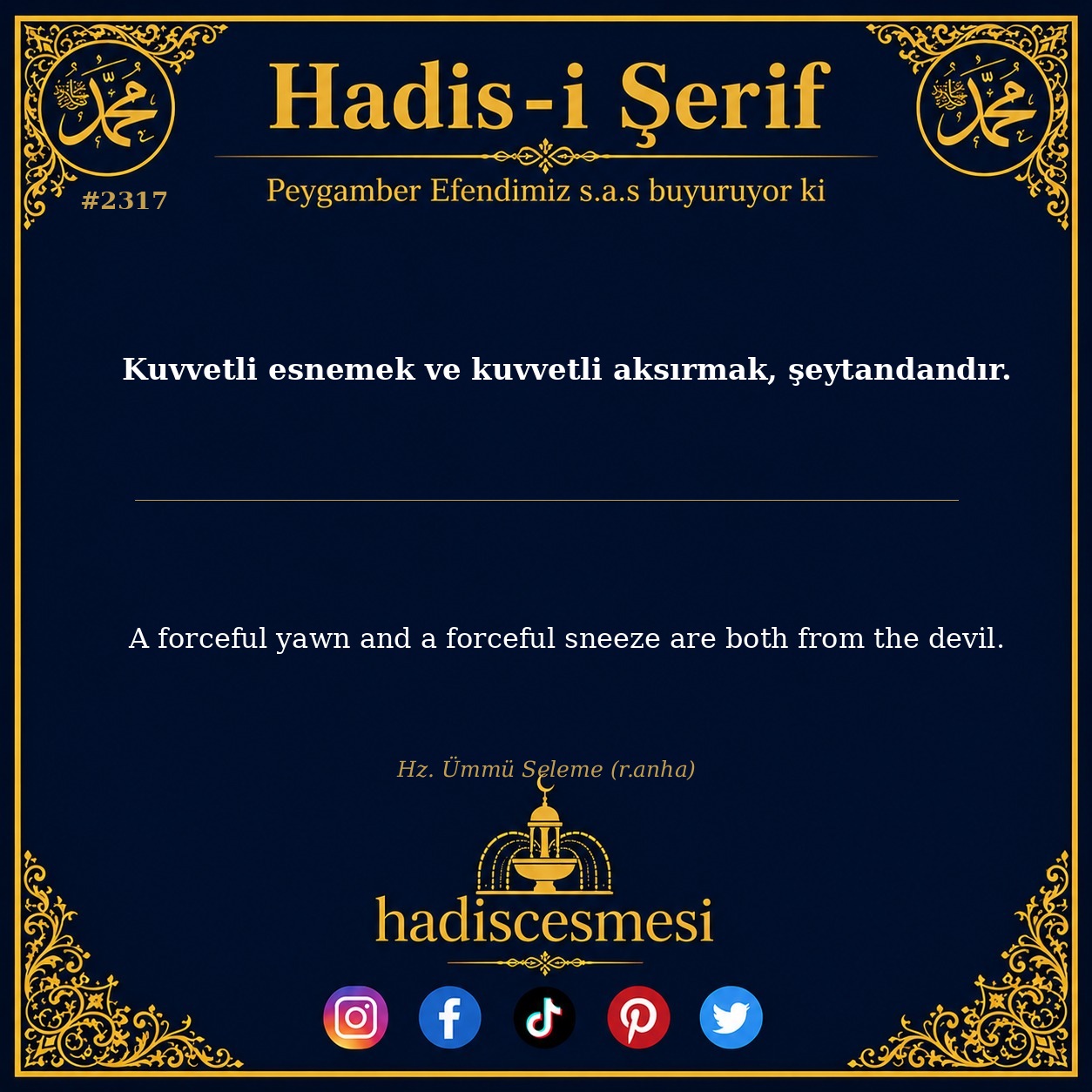Hadis 2317