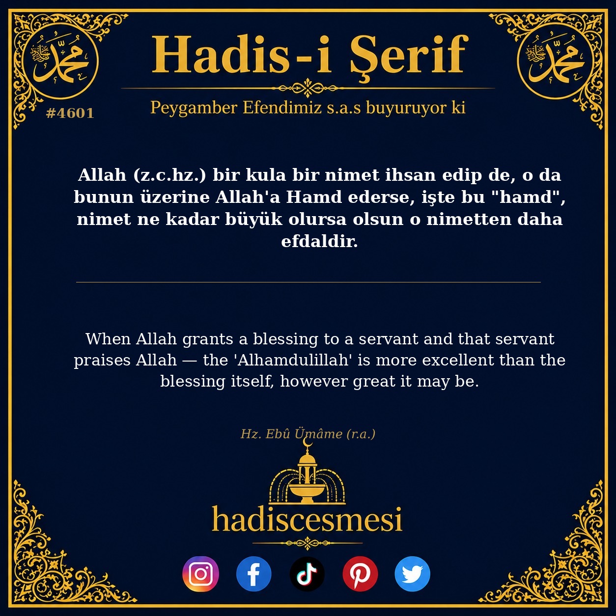 Hadis 4601