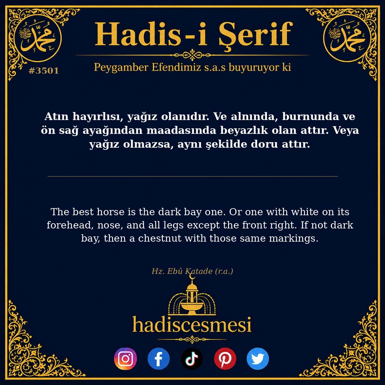 Hadis 3501
