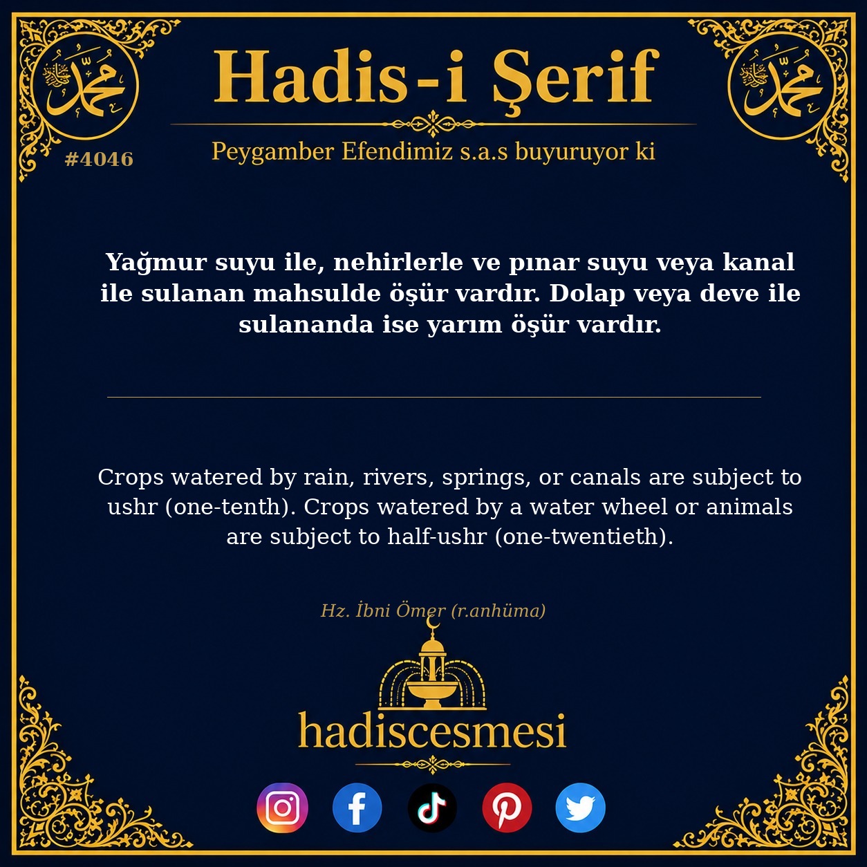 Hadis 4046