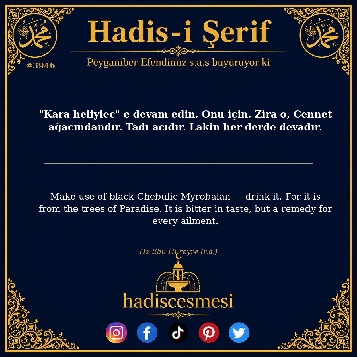 Hadis 3946