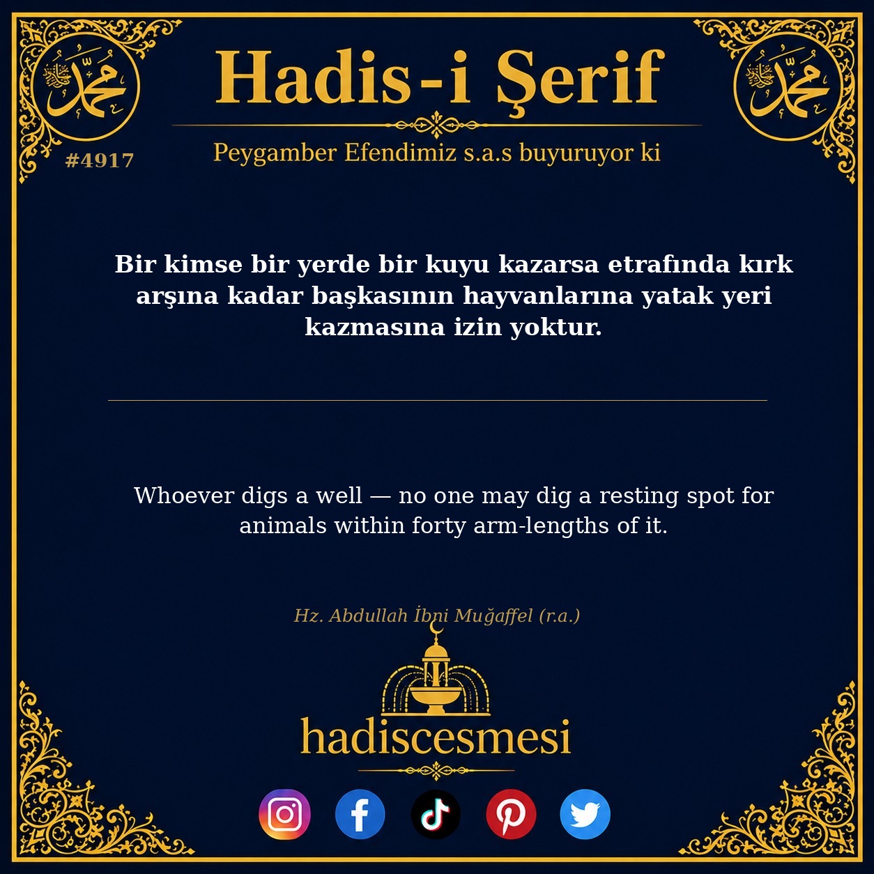 Hadis 4917