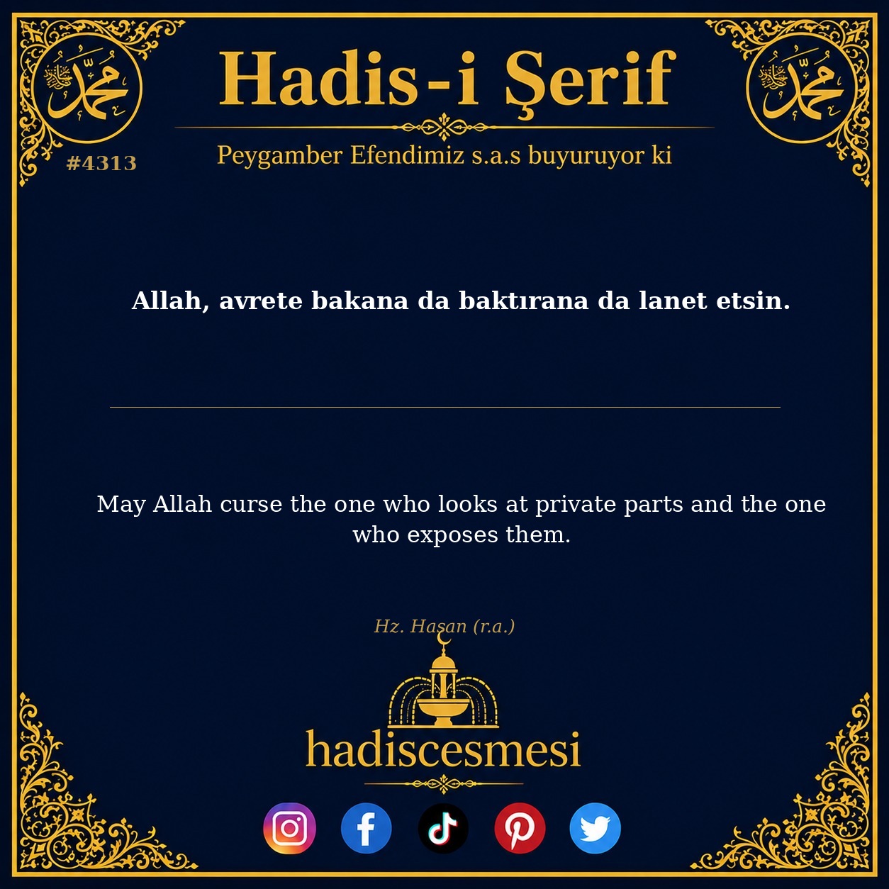 Hadis 4313