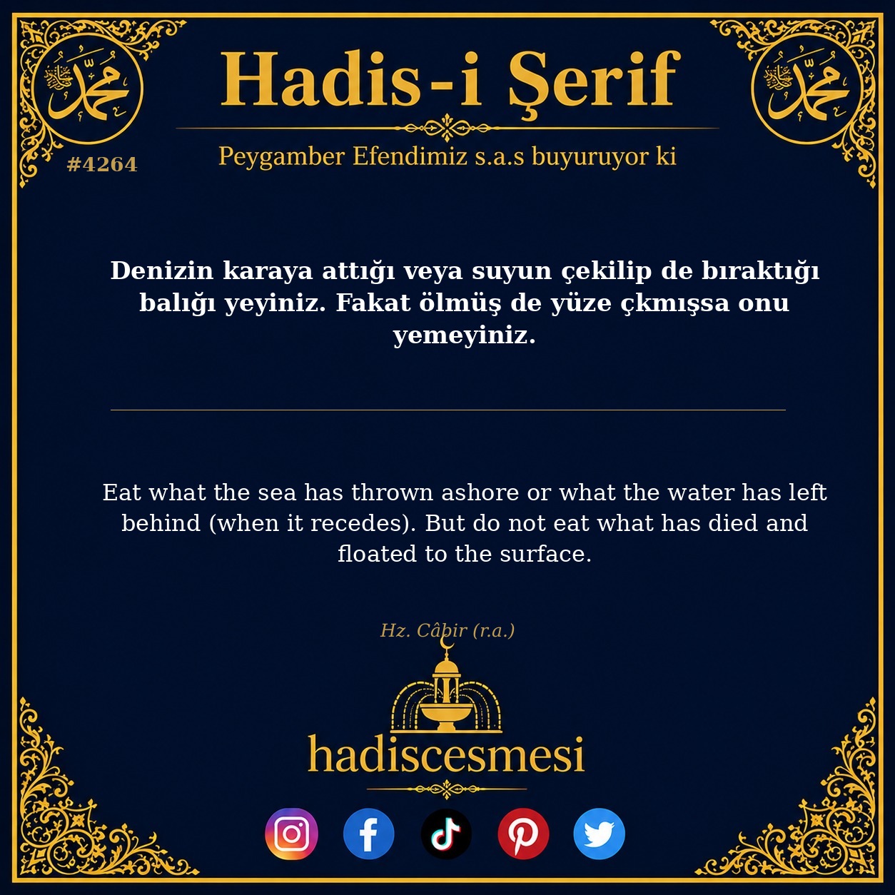 Hadis 4264