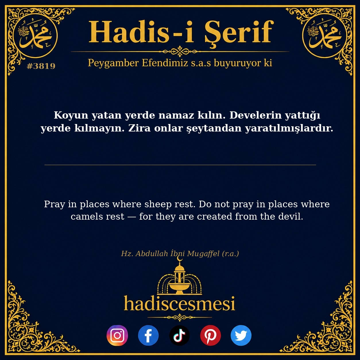 Hadis 3819